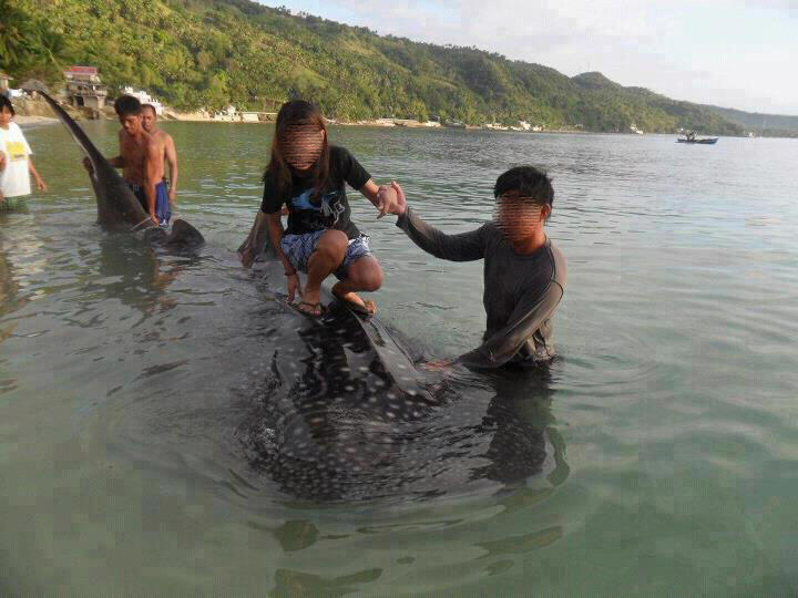 Photo of girl riding whale shark like surfboard sparks outrage
